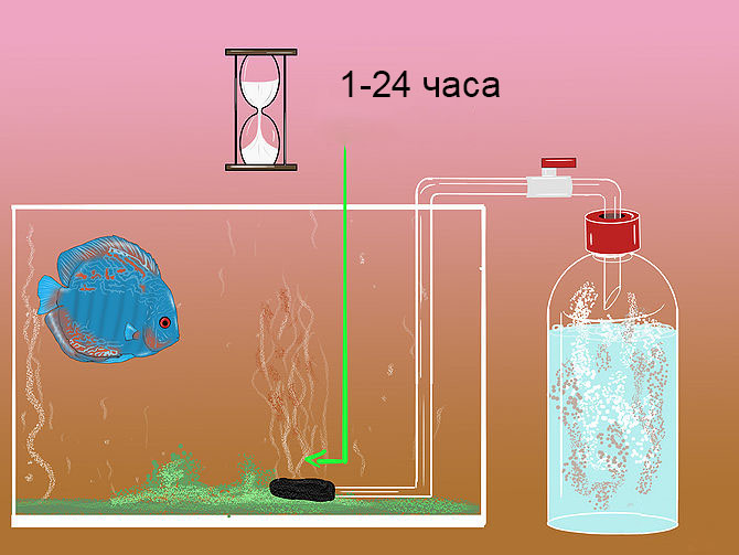 Включение самодельного реактора углекислого газа в аквариуме