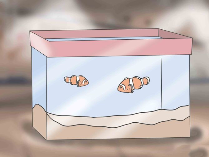 Неподходящие размеры аквариума для рыб