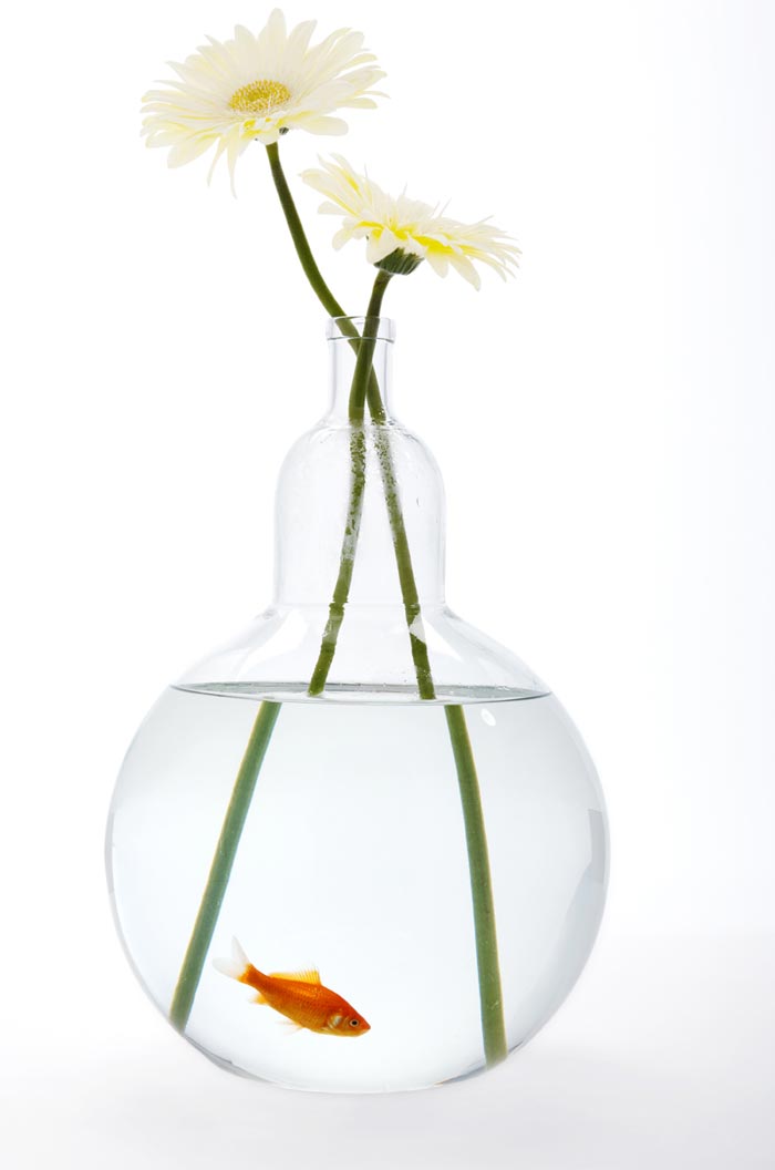 Аквариум ваза
