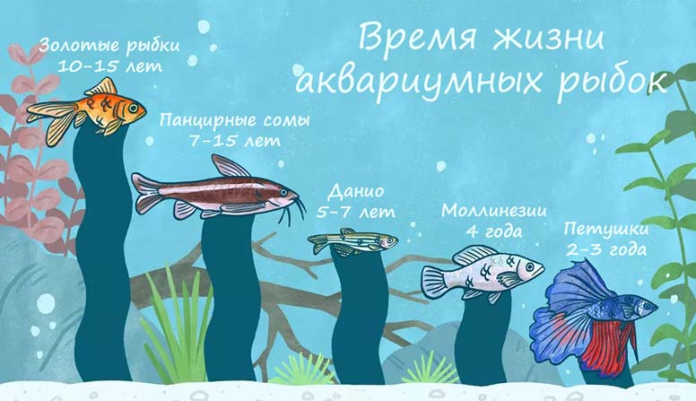 Каталог аквариумных рыб