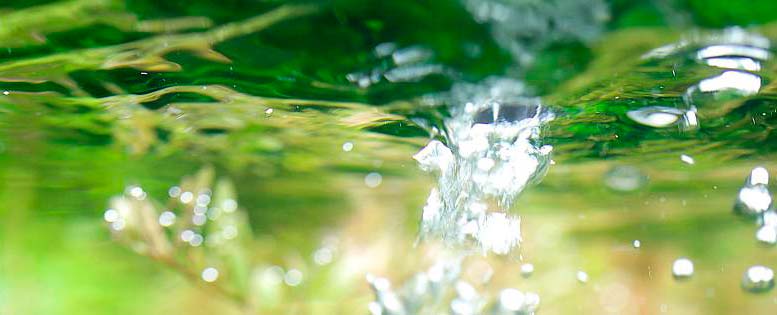 Пузырьки воздуха в воде аквариума