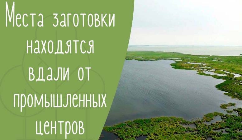 Озёра Сибири, где заготавливают сырьё для корма Aqvium
